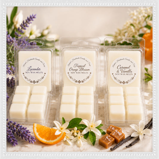 IN-STOCK ~ Clamshell Wax Melts (6 pack)